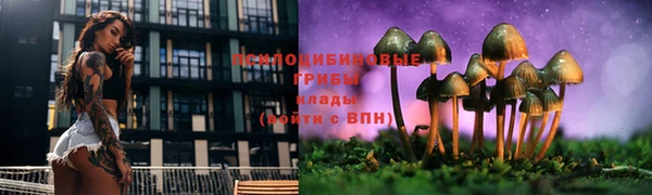 стаф Беломорск