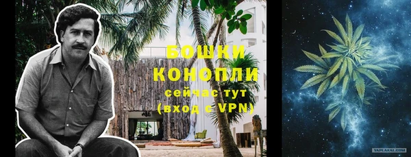 стаф Беломорск