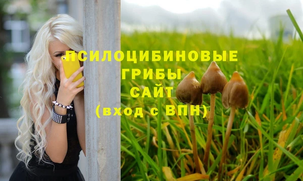MDMA Premium VHQ Белокуриха