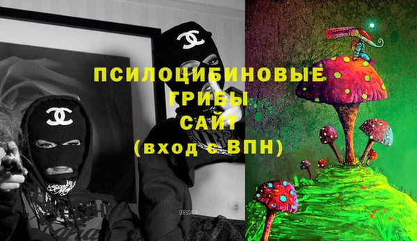 героин Грязовец