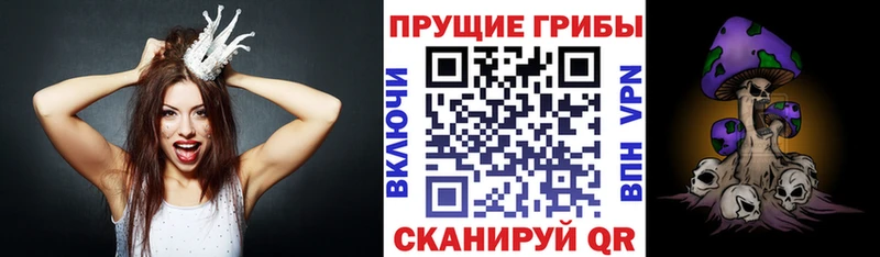 Псилоцибиновые грибы прущие грибы  Купить закладки  Весьегонск 