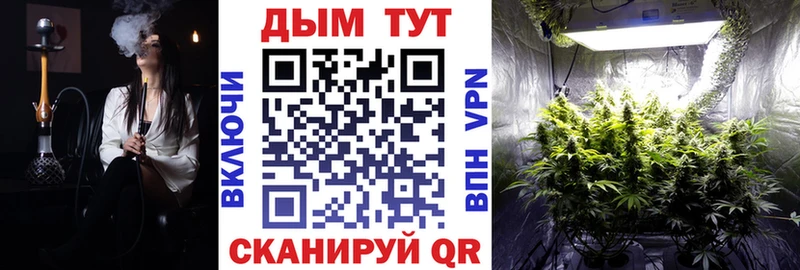 Бошки марихуана OG Kush Весьегонск